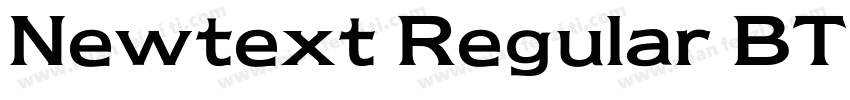 Newtext Regular BT字体转换